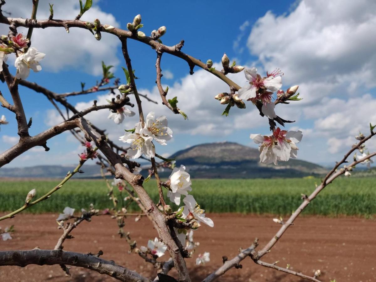 Galilee Best Location 'En Dor 외부 사진