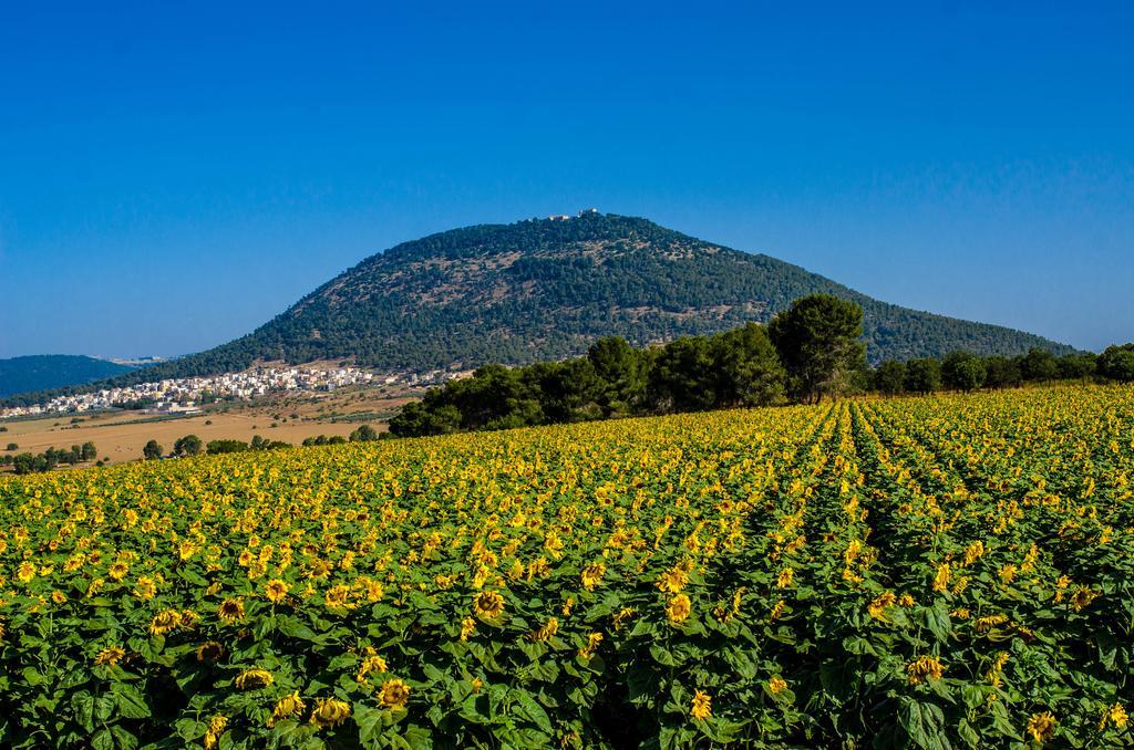 Galilee Best Location 'En Dor 외부 사진
